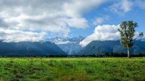 Sicht Auf Mount Cook Und Mount Tasman